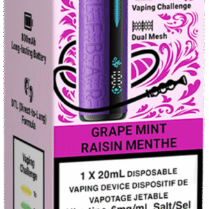 elf bar e shisha 30000 disposable vape grape mint