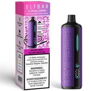 elf bar e shisha 30000 disposable vape grape mint