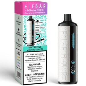 elf bar e shisha 30000 disposable vape mint freeze