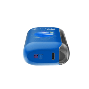 elfbar gh20000 blueberry pear