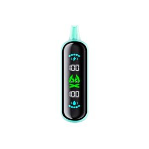 elfbar gh20000 miami mint