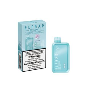 elfbar bc10000 miami mint