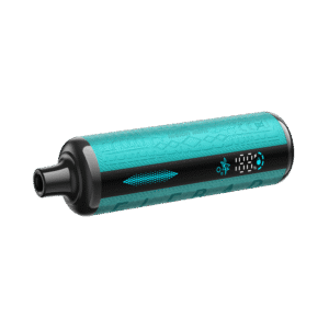 elfbar e shisha 30k melon mint