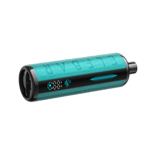 elfbar e shisha 30k melon mint