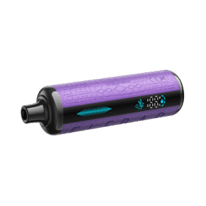 elfbar e shisha 30k grape mint