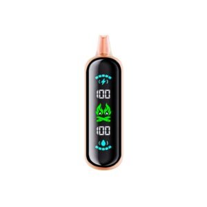 elfbar gh20000 berry blast