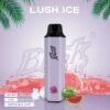 BRISK BAR LUSH ICE – 5000 PUFFS import placeholder for 68743