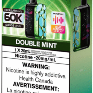 linvo rave 60000 pro disposable vape double mint