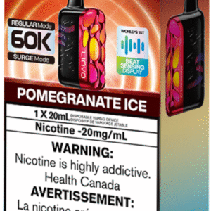linvo rave 60000 pro disposable vape pomegranate ice