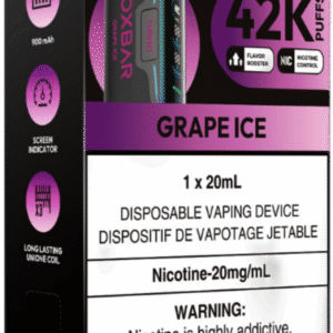 rocky vapor oxbar g42k disposable vape grape ice