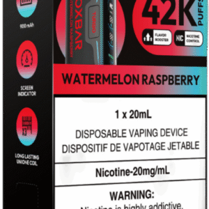 rocky vapor oxbar g42k disposable vape watermelon raspberry