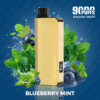 BLUEBERRY MINT – ALIBARBAR INGOT – 9000 PUFFS import placeholder for 75881