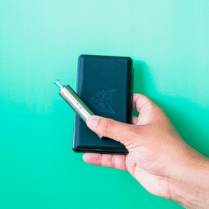 linx blaze wax vaporizer (taxes extra)