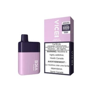 vice box 6000 puffs disposable vape 5/pack