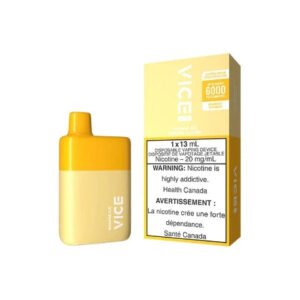 vice box 6000 puffs disposable vape 5/pack